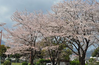 DSC_0109.jpg