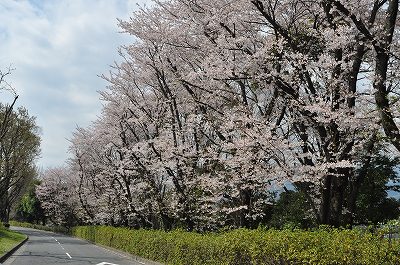 DSC_0118.jpg