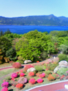 201605050821000.jpg